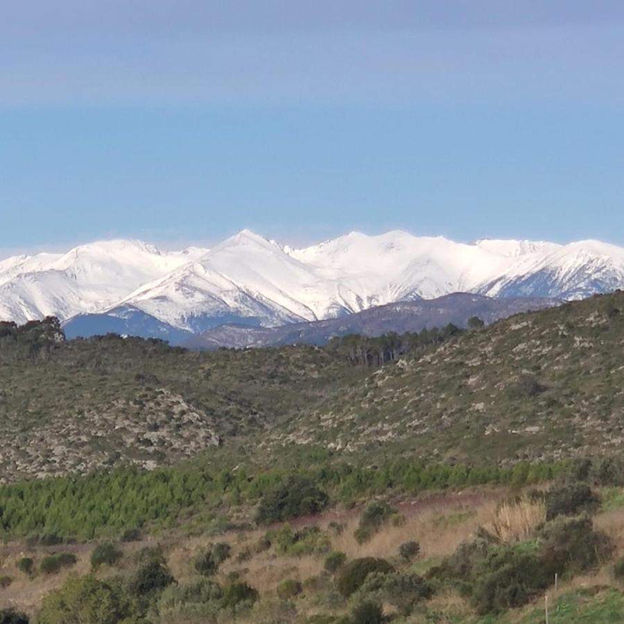 Casa Rural Cal Fuster Experience Terrades エクステリア 写真